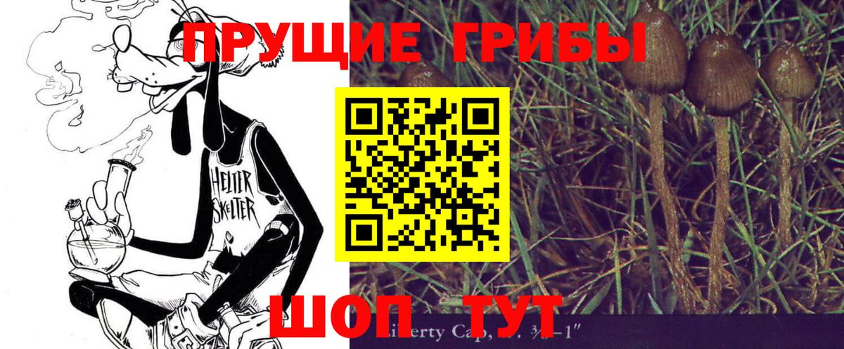 Галлюциногенные грибы Cubensis  Вход с VPN  Галлюциногенные грибы мухоморы  Павлово 